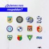 Pelota KAGIVA COSTURADA PRO (Homologada por el Consejo Federal)